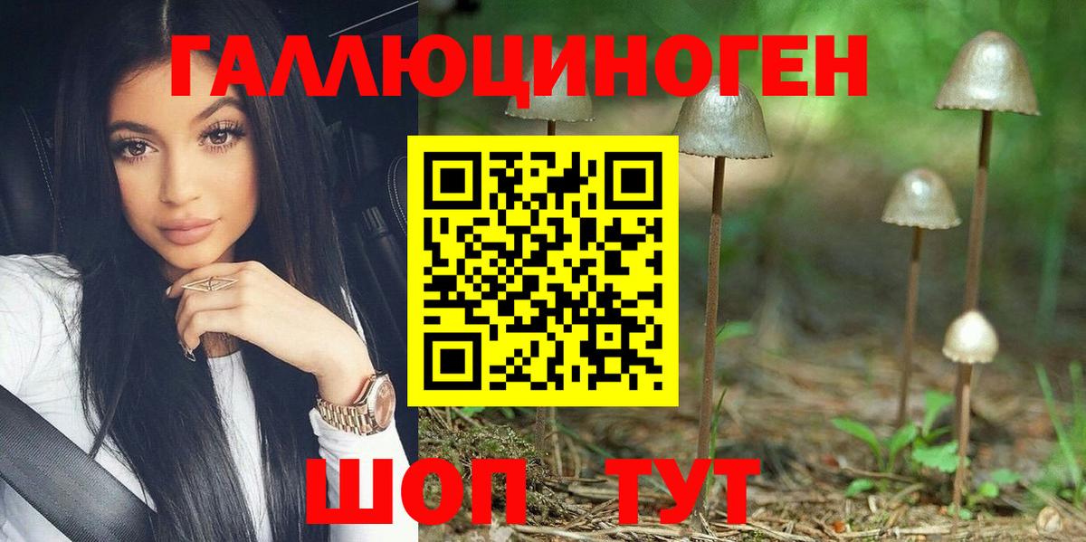 купить наркоту  Псилоцибиновые грибы Psilocybine cubensis  Вход с VPN  Вятские Поляны 